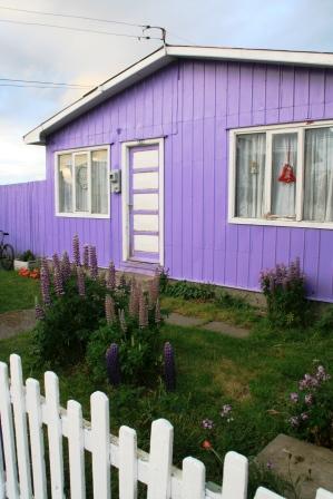 Lila Haus mit lila Blumen